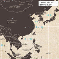 マッチングジャパン 大判 ラミあり 知育ステッカー 地図『世界地図_Lサイズ/BR』 CO-10014-AS（直送品）