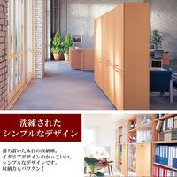 Garage fantoniGF用 上置き用扉 鍵付 幅900×奥行18×高さ1197mm 白木（AB） 1枚（直送品）