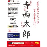 寺西化学工業 マジックチョーク No.650 黒 M650-T1 1セット(10本)