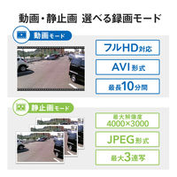 トレイルカメラ　防犯カメラ　動物・獣害対策　屋外　工事不要　乾電池式　CMS-SC01GY　サンワサプライ　1台（直送品）