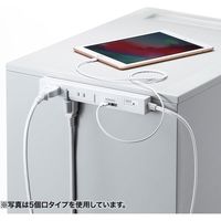 延長コード 電源タップ 2m 2P（ピン） 8個口 USB充電ポート搭載 ホワイト TAP-SLIM8U-2 サンワサプライ 1個