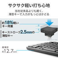ワイヤレスキーボード マウスセット 無線 フルサイズ 薄型 メンブレン ブラック TK-FDM110MBK エレコム 1個（直送品）