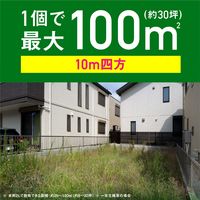 アース カマイラズ 草消滅 ジョウロヘッド 園芸用品 農薬 除草剤 液体 雑草 枯らす 草取り 2L 1セット(3個) アース製薬