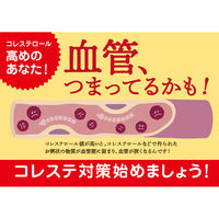 【機能性表示食品】サントリー 伊右衛門プラス コレステロール対策 500ml 1セット（48本）