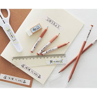 キングジム ラベルプリンター 「テプラ」Lite LR30アオ 1台