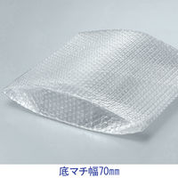プチプチ（R)袋 底マチ付き（宅配袋 小用）250×310×70mm 1袋（100枚入）川上産業