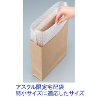 プチプチ（R)袋 底マチ付き（宅配袋 特小用）210×310×60mm 1袋（100枚入）川上産業