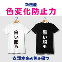 ナノックスワン（NANOX one）ニオイ専用 業務用 洗濯洗剤 濃縮 液体 詰め替え バックインボックス 10kg 1個 ライオン