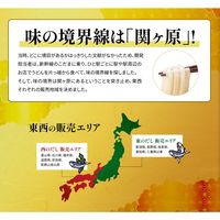 カップ麺 日清のどん兵衛 天ぷらそば（西日本版） 1ケース（12食入） 日清食品