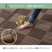 イケヒコ ラグ PPカーペット 『Fウィード』 江戸間3畳 幅1760×奥行2610mm ブラウン 1090281061003 1枚（直送品）