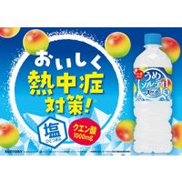 サントリー 天然水 うめソルティ 冷凍兼用 540ml 1セット（48本）