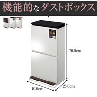 アスベル SP分別ダストボックス ペダル2段 ワイド ブラック 4974908680274（直送品）