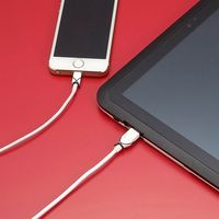 サンワサプライ 汎用チョイロック(タブレット・Wi-Fiルーター・スマートフォン対応) CA-NB009 1個