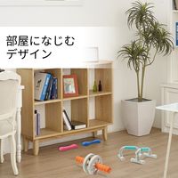 ダンベル スリムタイプ 0.5ｋｇ 筋トレ 1個入り ウォーキング ピンク エクリアスポーツ HCF-DBS05PN エレコム 1個