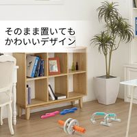 ダンベル スリムタイプ 2.0ｋｇ 筋トレ 1個入り 持ちやすい ブルー エクリアスポーツ HCF-DBS20BU エレコム 1個