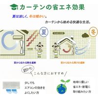 ユニベール ラージュレースホワイト W100xH203 4548654785912 1セット(レースカーテン2枚