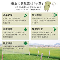 萩原 置き畳 南風(なんぷう) 約W82×D82×H2.5cm ネイビー 159054900 1枚