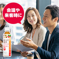 【機能性表示食品】からだ巡茶アドバンス 410ml 1箱（24本入）
