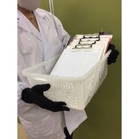 【白手袋】 アトム すべり止め付き ターボ白 149-5P S 1組（5双入）