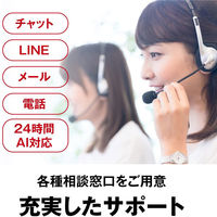 バッファロー 無線LAN親機 11ac/n/a/g/b 433 WMR-433W2-BK（直送品）