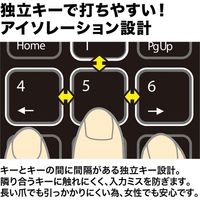 サンワサプライ ワイヤレスUSBテンキー NT-WL21BK 1個（直送品）