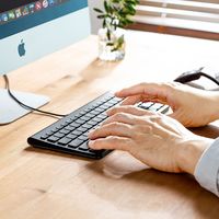 サンワサプライ USBスリムキーボード SKB-SL32BK 1個