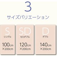 イケヒコ ベッドパッド 防ダニ 1000×2000mm 1192040370101 1枚（直送品）