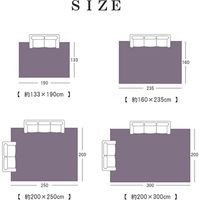 イケヒコ エクセレント カーペット 1600×2350mm 1320390010401 1枚（直送品）