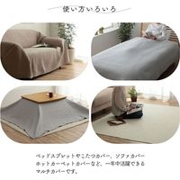 イケヒコ ペール ラグ 1900×2400mm アイボリー 1291970146103 1枚（直送品）