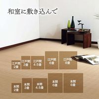 イケヒコ ジャワ 籐 ラグ 江戸間4.5畳 2610×2610mm 1100470015401 1枚（直送品）