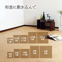 イケヒコ 宝麗 籐 あじろ織ラグ 本間2畳 1910×1910mm 1100040015801 1枚（直送品）