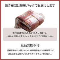 イケヒコ 衛生寝具6点セット ソフィア セミダブル レッド 1201341242711 1セット(6点入)（直送品）