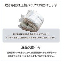 イケヒコ・コーポレーション 洗える寝具敷き布団　アムール BL シングルロング 1200291046203 1枚