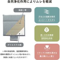 イケヒコ クララ い草入タタキ カークッション 430×430mm ベージュ 1230080020302 1枚（直送品）