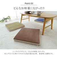 イケヒコ・コーポレーション mou(ムー) シート NV 40×40×4cm 1380000000000 1枚