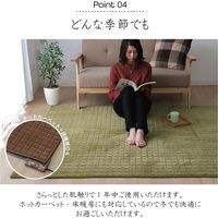 イケヒコ mou（ムー） ラグ 2000×2500mm グリーン 1380000000475 1枚（直送品）