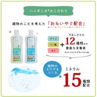 協和 ハイポニカ植物活力液 ストレート液 500ml 2057311 1本