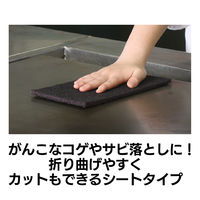 キクロンプロ H-701 ナイロンたわし10枚