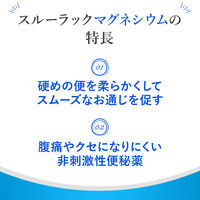 エスエス製薬 スルーラックマグネシウム 100錠 0100971 1個【第3類医薬品】