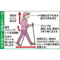 ファミリー・ライフ ハートフルウェルフェア 伸縮式ウォーキングポール2本組 レッド 0402120 1個