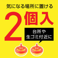 コバエ取り 対策 捕獲器 コバエがホイホイ 1パック（2個入） 置き型 キッチン 厨房 アース製薬（直送品）