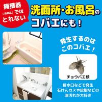 【アウトレット】コバエがいなくなるスプレー 60回用 無香料 1個 大日本除虫菊 KINCHO キンチョー