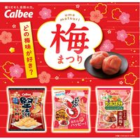 堅あげポテト 梅味 60g 6袋 カルビー スナック菓子