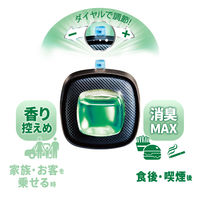 ファブリーズ 車用 イージークリップ 防カビ＋消臭 グリーンシトラスリーフ 1セット（1パック（2個入）×12） 消臭剤 芳香剤 P＆G