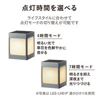 タカショー ひかりノベーション SC 花のひかり LGS-LH02P 1箱(2個入)（直送品）