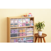 SANKA ナチュラ インボックス ピコアト S NIB-PKA-SCL 1個