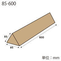 【ケース販売】シモジマ HEIKO トライポスターBOXセット 85ー600 002123061 1箱(合計50セット入)（直送品）