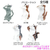 エール フィギュア 敬礼 猫 BOX 1個入 1個入×10セット（直送品）