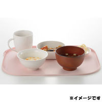 リッチェル 使っていいね! 食器が滑りにくい シリコーンお食事マット ピンク 1個入×6セット（直送品）