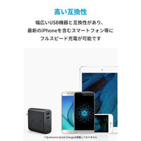 Anker PowerCore Fusion 5000 ホワイト バッテリー搭載USB充電器 4850mAh A1621021-9